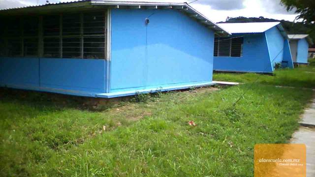 Entrada (vista previa)