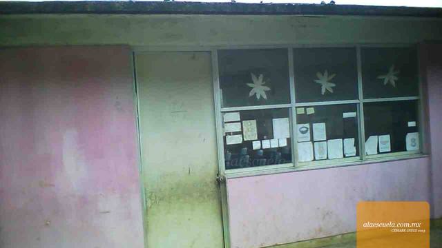 Entrada (vista previa)