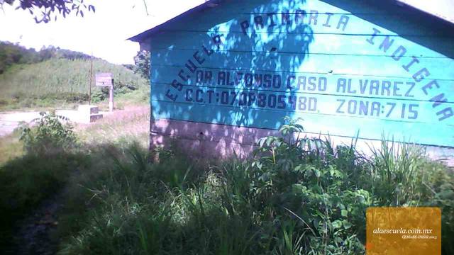 Entrada (vista previa)