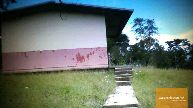 Entrada (vista previa)