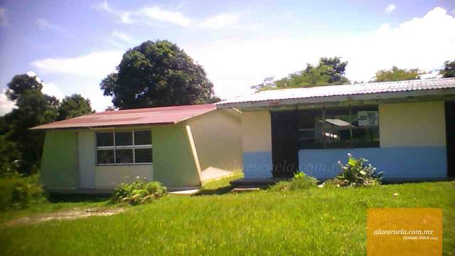 Entrada (vista previa)