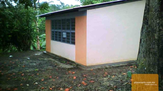 Entrada (vista previa)