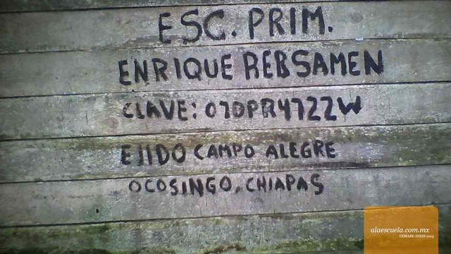 Entrada (vista previa)