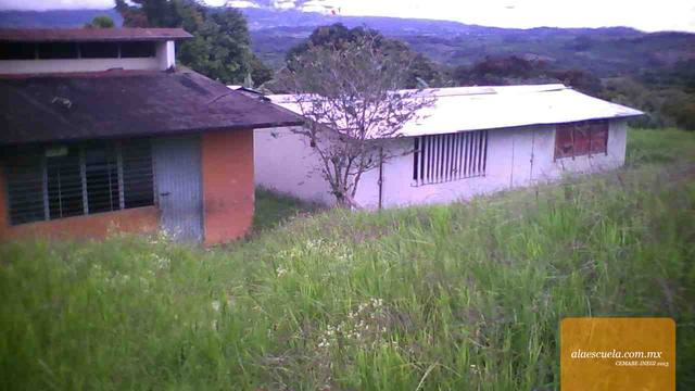 Entrada (vista previa)