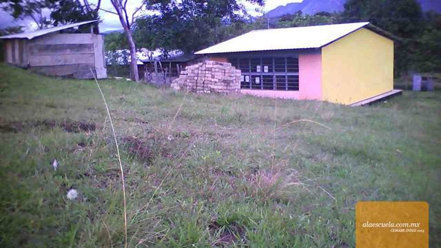 Entrada (vista previa)