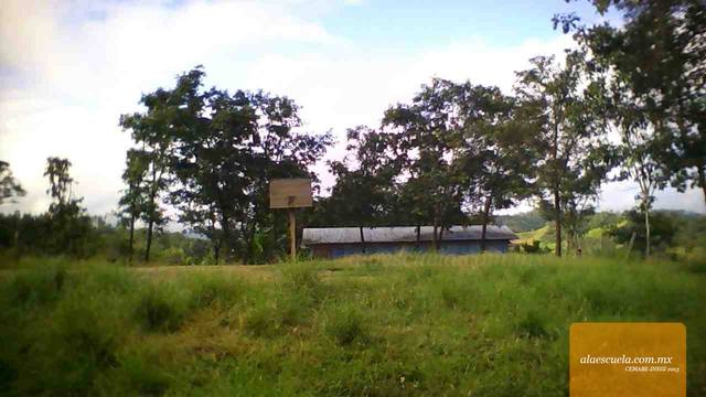 Entrada (vista previa)