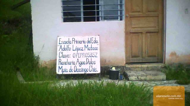 Entrada (vista previa)