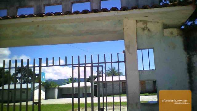 Entrada (vista previa)