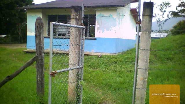 Entrada (vista previa)