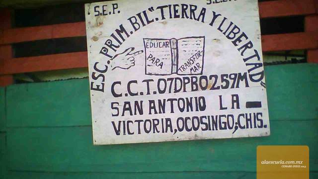 Entrada (vista previa)