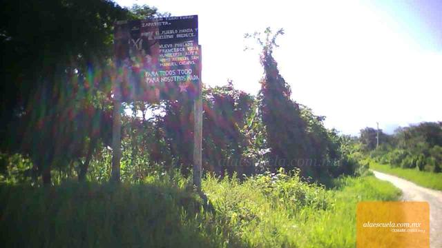 Entrada (vista previa)