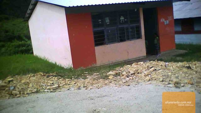 Entrada (vista previa)