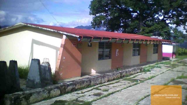 Entrada (vista previa)