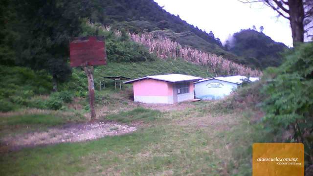 Entrada (vista previa)