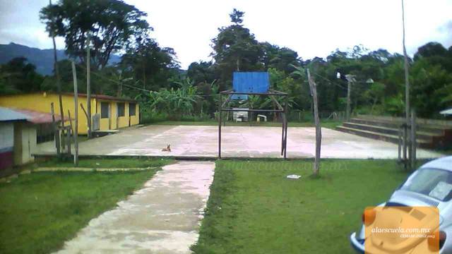 Entrada (vista previa)