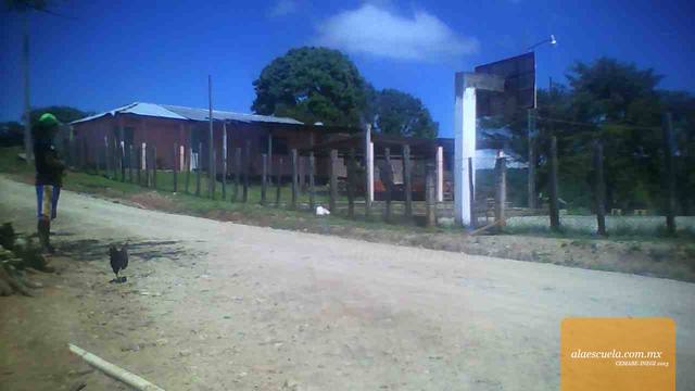 Entrada (vista previa)