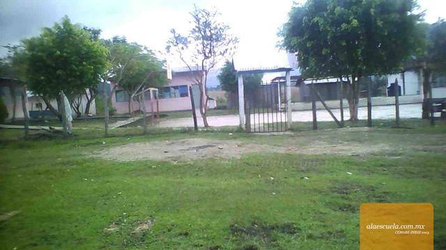 Entrada (vista previa)