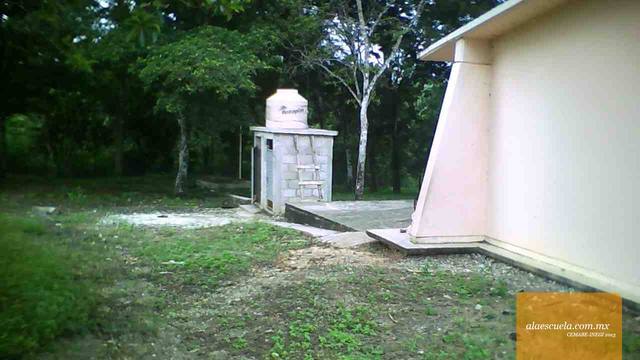 Entrada (vista previa)