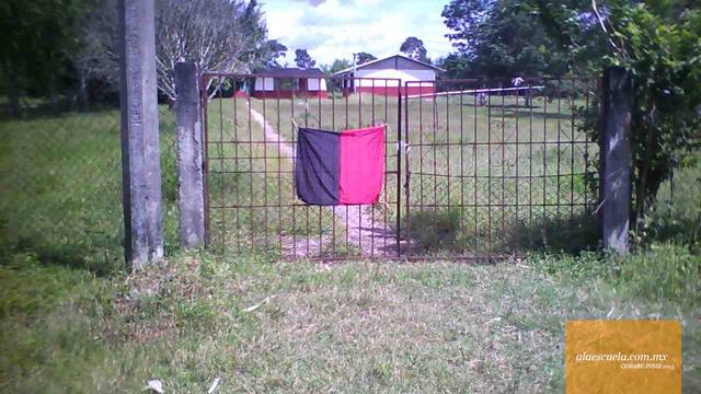 Entrada (vista previa)