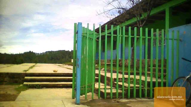 Entrada (vista previa)