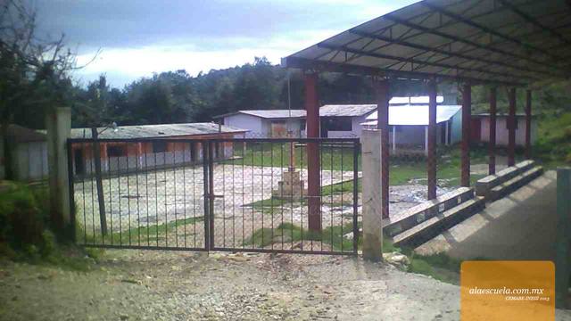 Entrada (vista previa)