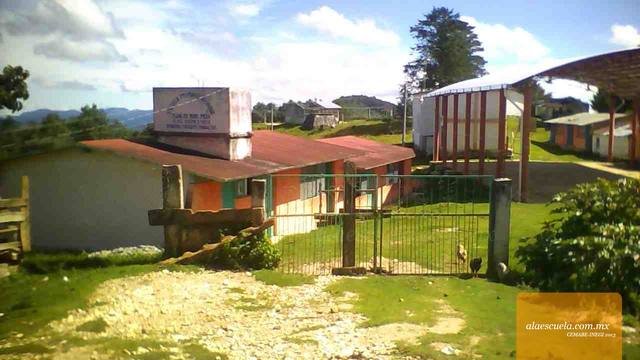 Entrada (vista previa)