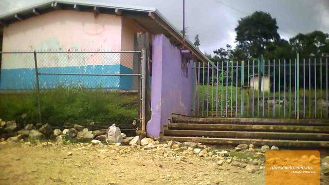 Entrada (vista previa)