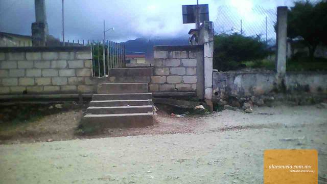 Entrada (vista previa)