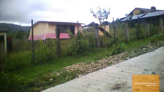 Entrada (vista previa)