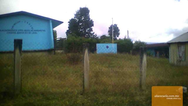 Entrada (vista previa)