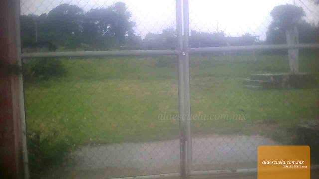 Entrada (vista previa)