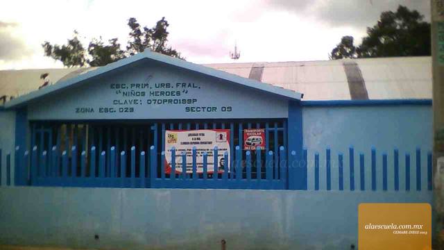 Entrada (vista previa)