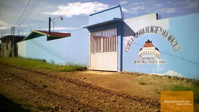 Entrada (vista previa)