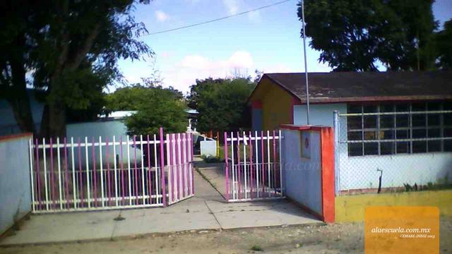 Entrada (vista previa)