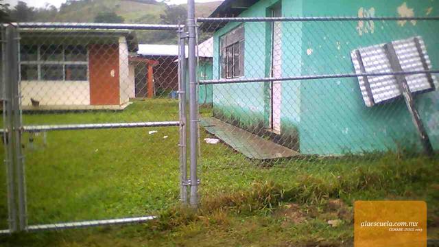 Entrada (vista previa)