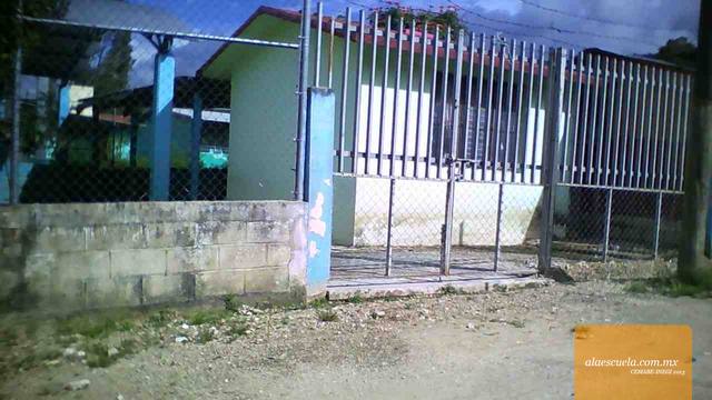 Entrada (vista previa)