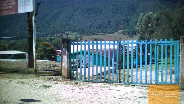 Entrada (vista previa)