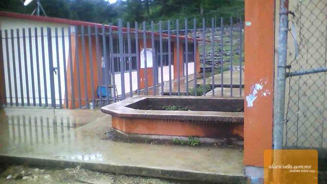 Entrada (vista previa)