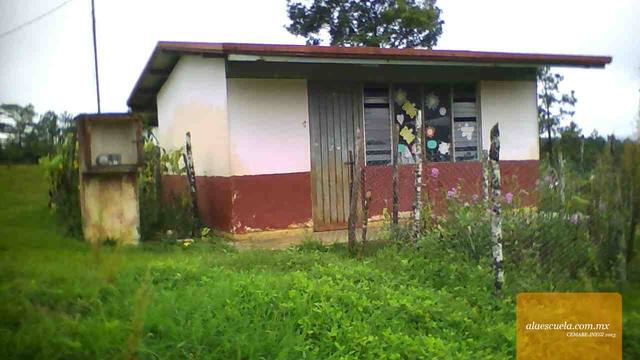 Entrada (vista previa)