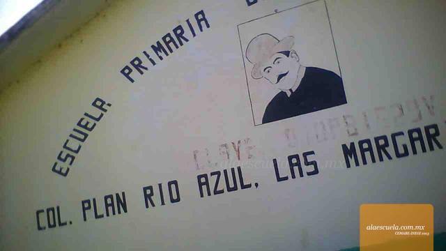 Entrada (vista previa)