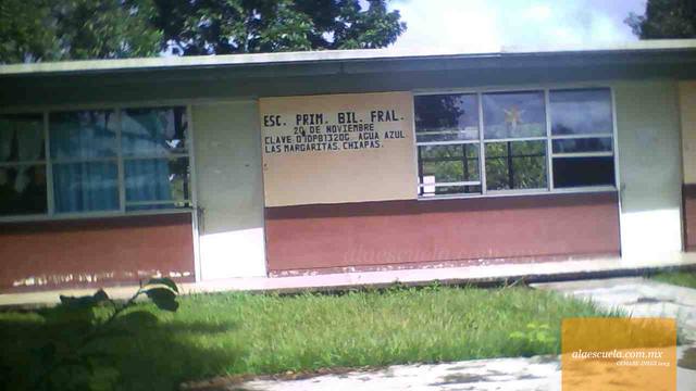 Entrada (vista previa)