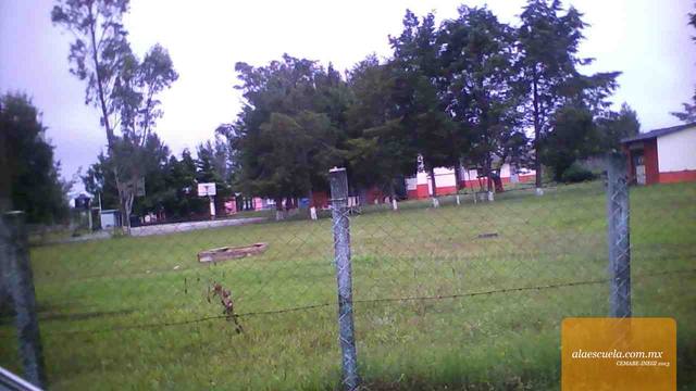 Entrada (vista previa)