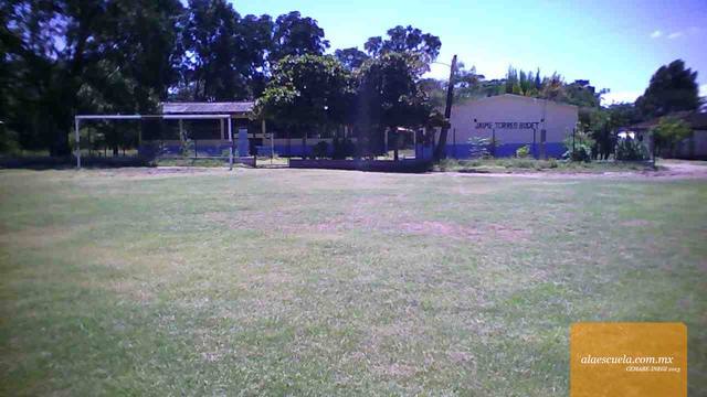 Entrada (vista previa)