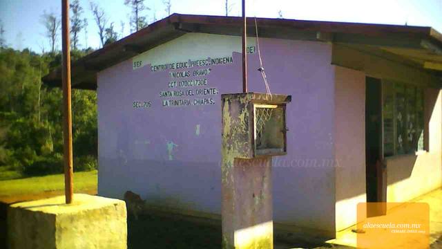 Entrada (vista previa)