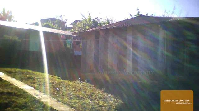 Entrada (vista previa)