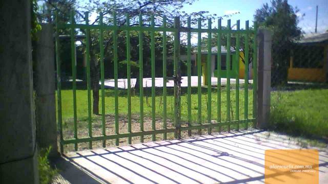 Entrada (vista previa)