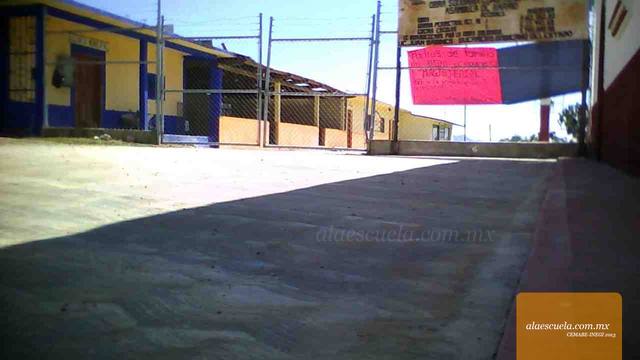 Entrada (vista previa)