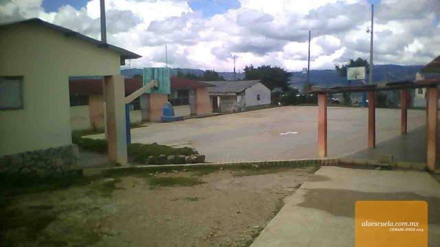 Entrada (vista previa)