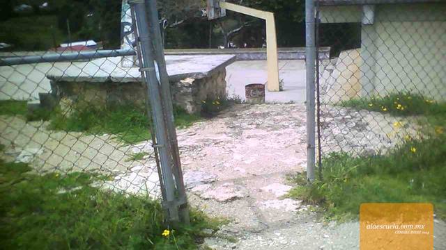 Entrada (vista previa)