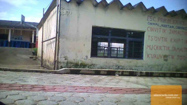 Entrada (vista previa)